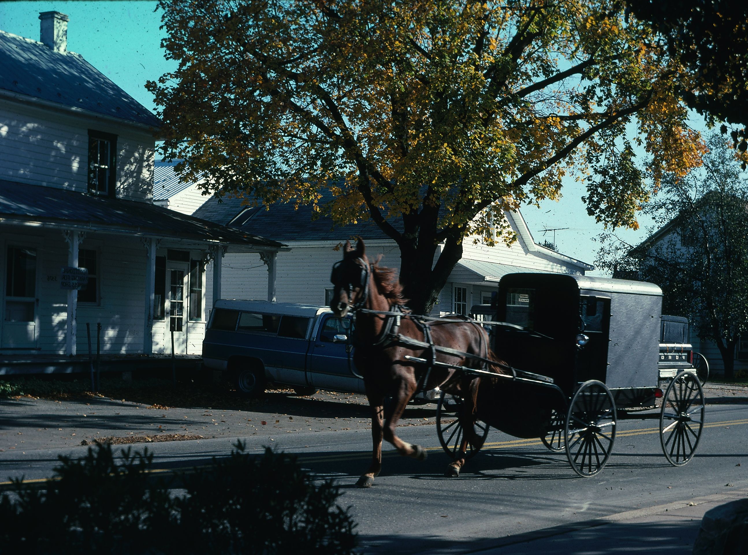  Hevoskärry eli buggy on tuttu näky Pennsylvanian amissiseuduilla. 