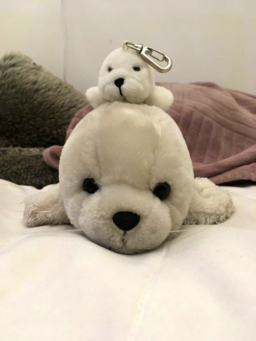 ”Minun unikaverini on Hilma Hylje. Hän ja hänen pikkuveljensä Hilpertti ovat mukaani tulleet Silja Line -laivalta noin 7 vuotta sitten. He pitävät hampurilaisista ja tv:n katsomisesta kainalossa.” Hylkeiden omistaja