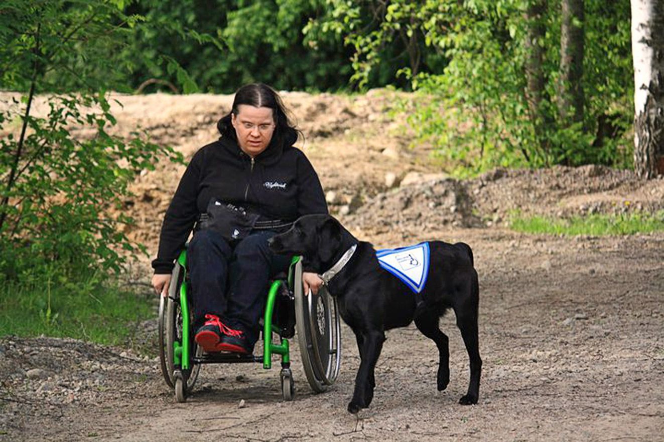 Tutustuin Tottiin avustajakoiran luovutusleirillä kahden viikon ajan. Tässä harjoittelemme yhteistyötä ensimmäistä kertaa.