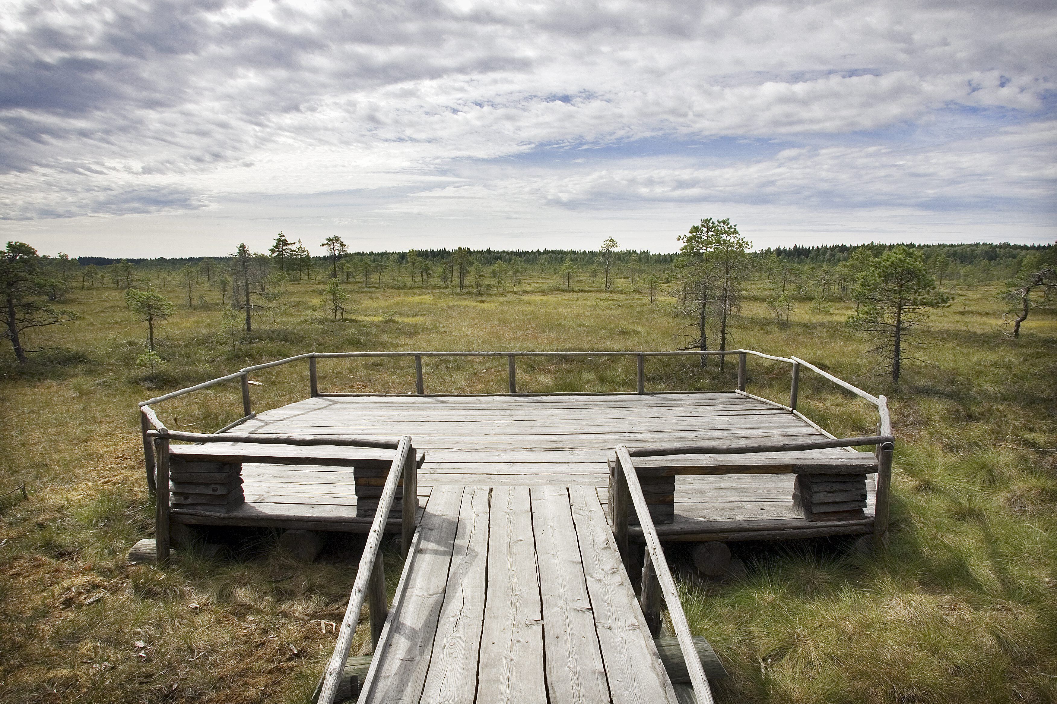 Metsähallitus on rakentanut Torronsuon kansallispuistoon pitkospuut, joita pitkin voi kulkea myös pyörätuolilla.