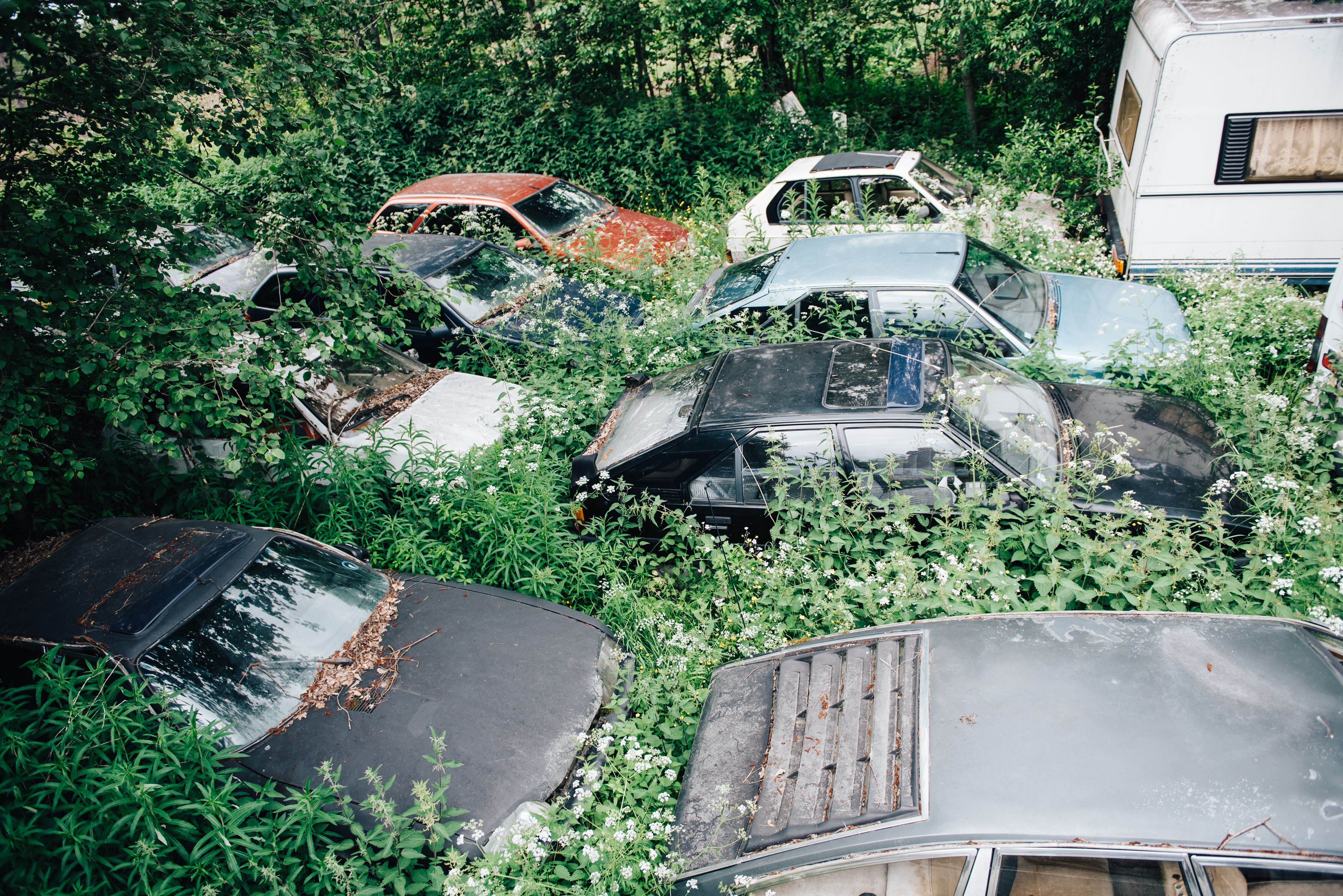 Arin pihalla seisoo noin kolmekymmentä vanhaa sitikkaa. Erityisesti autojen muotoilu ja tekniikka miellyttävät keräilijää.