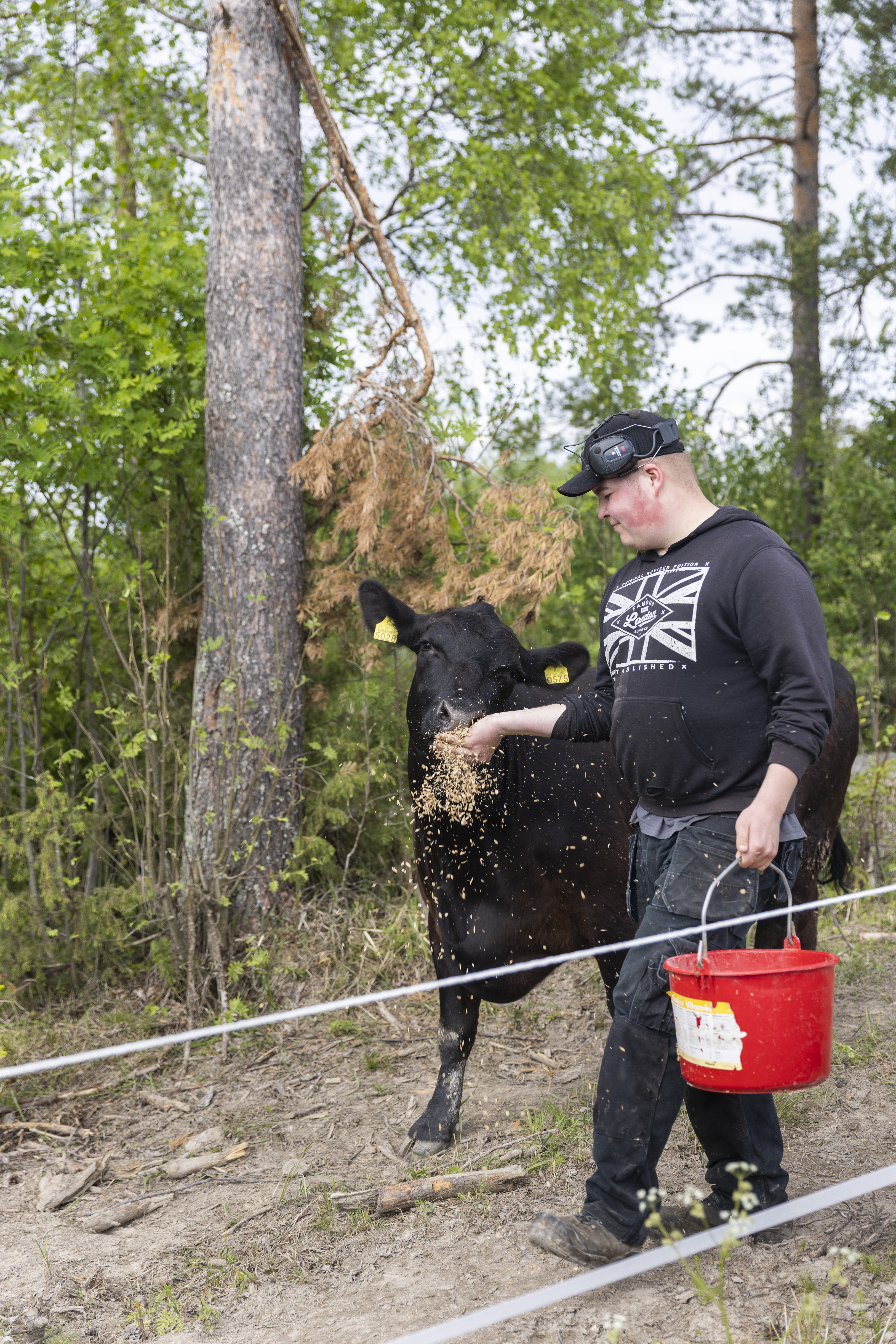 Tuomas Kinnunen, 19, asuu Kannonkoskella Keski-Suomessa ja on juuri valmistunut maatalousyrittäjäksi. Hän tekee töitä kotitilalla, jonka isäntä hänestä aikanaan tulee. Maalla asumisessa on Tuomaksen mielestä tärkeää oma rauha. "En jaksa kauhean kauan kaupungin hälinässä."
