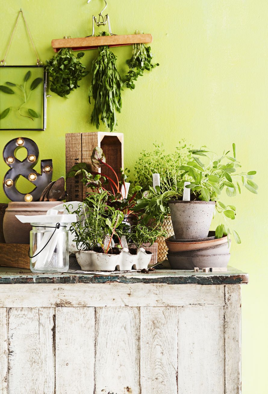 Merkkaa kevään taimet kauniin karheilla tikuilla, joiden teksti on painettu leimasinkirjaimilla. Puinen housuhenkari on näppärä kuivuri yrteille, joita et ehdi napsia suuhusi.