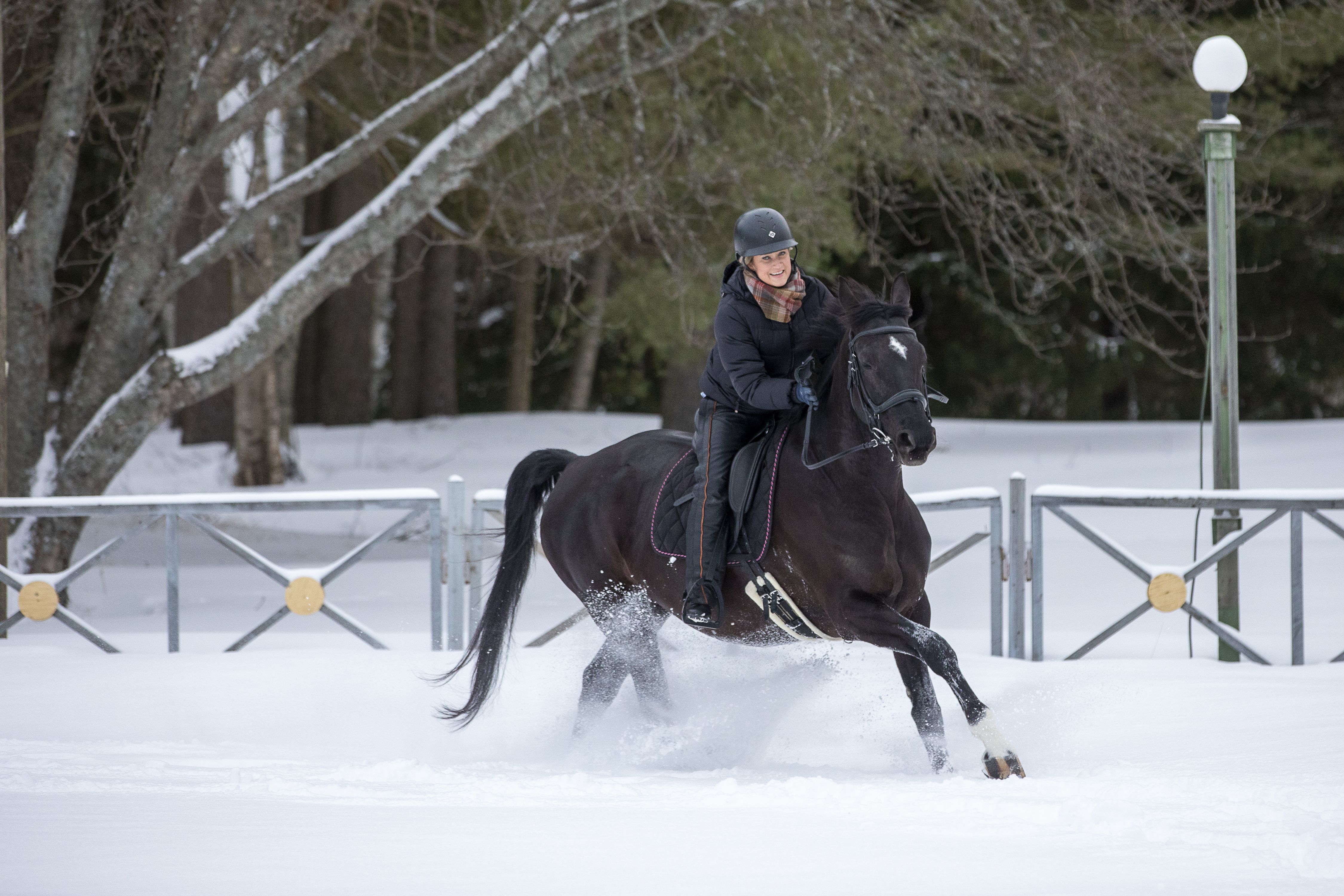 Ratsastaminen sai Ellan taas loistamaan. Tällä hetkellä hän treenaa tavoitteellisesti kouluratsastusta.