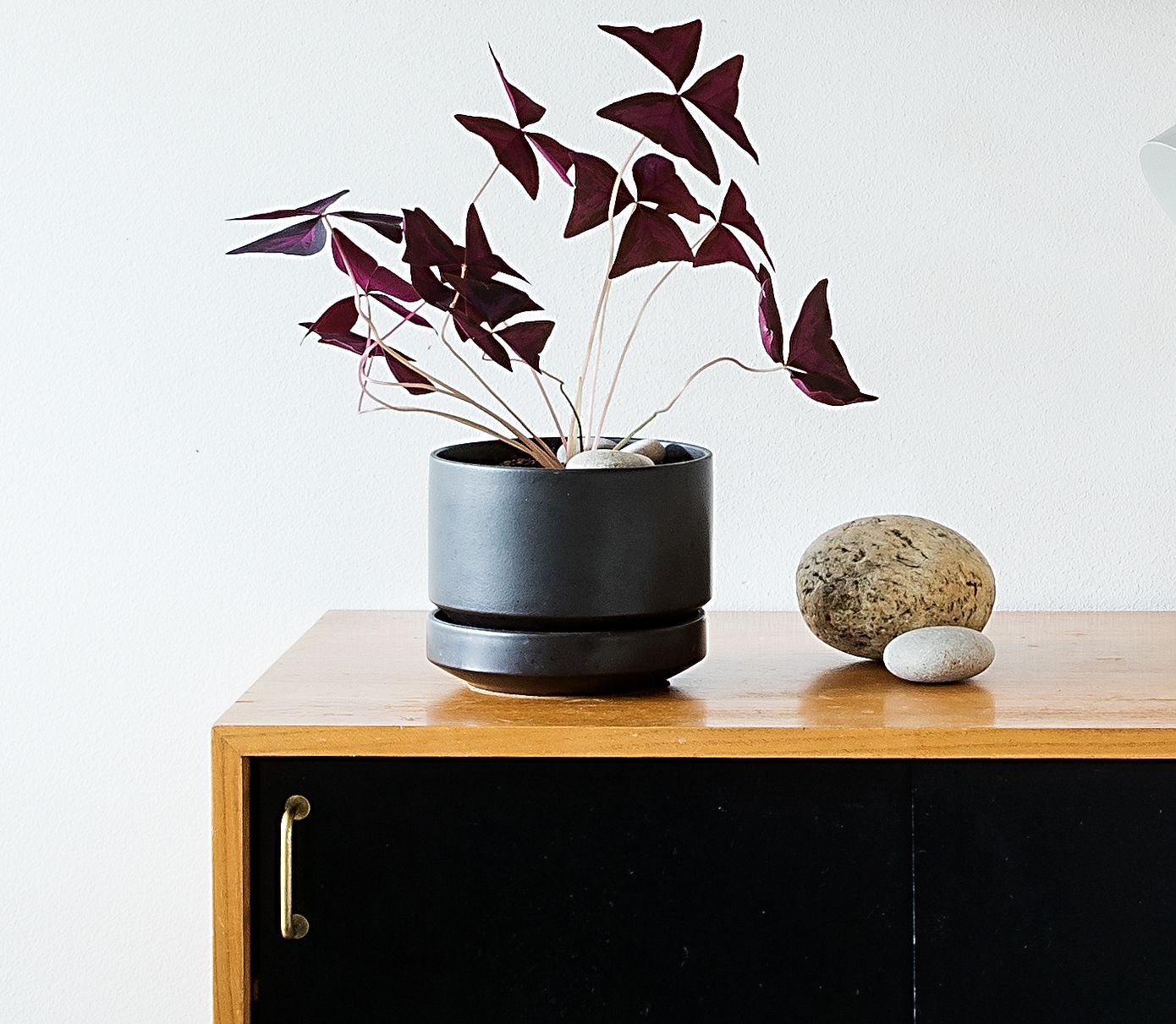 Kukkaruukkuja etsitään nyt paljon. Kuva Satu Kemppainen