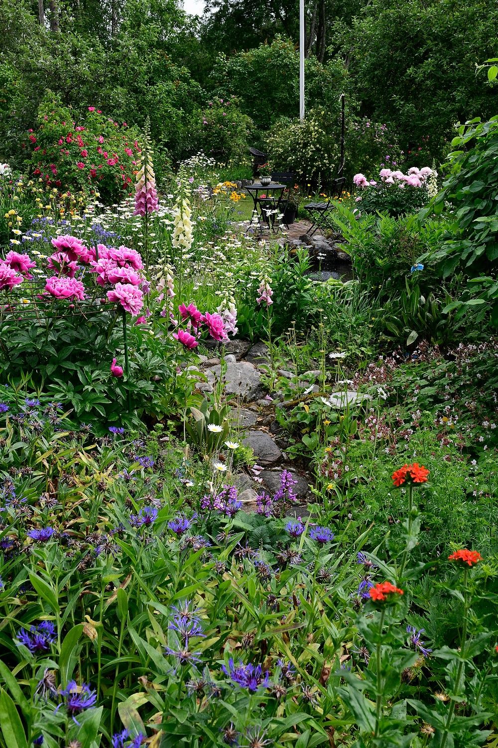 Riita-Maijan ja Matin puutarhassa kasvaa yli 50 erilaista ruusua, pioneja on yli 20 lajiketta. Syksyisin Riitta-Maija ja Matti istuttavat puutarhaansa noin 500 uutta sipulikasvia entisten lisäksi.