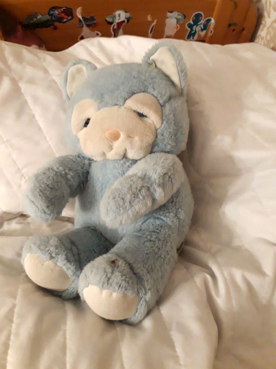 ”Sininen pehmolelu on ostettu jo 10 vuotta sitten. Unikaverina kiva myös siksi, että sisältä kuuluu hiljaista musiikkia: Levon hetki nyt lyö... Tosin nykyomistajan suursuosikki tällä hetkellä on meloninpala, siis pehmoleluksi tehty.” Kultasuu