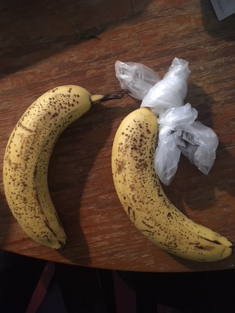 PÄIVÄ 6: Viiden vuorokauden aikana banaanit ovat kypsyneet yhtä paljon.