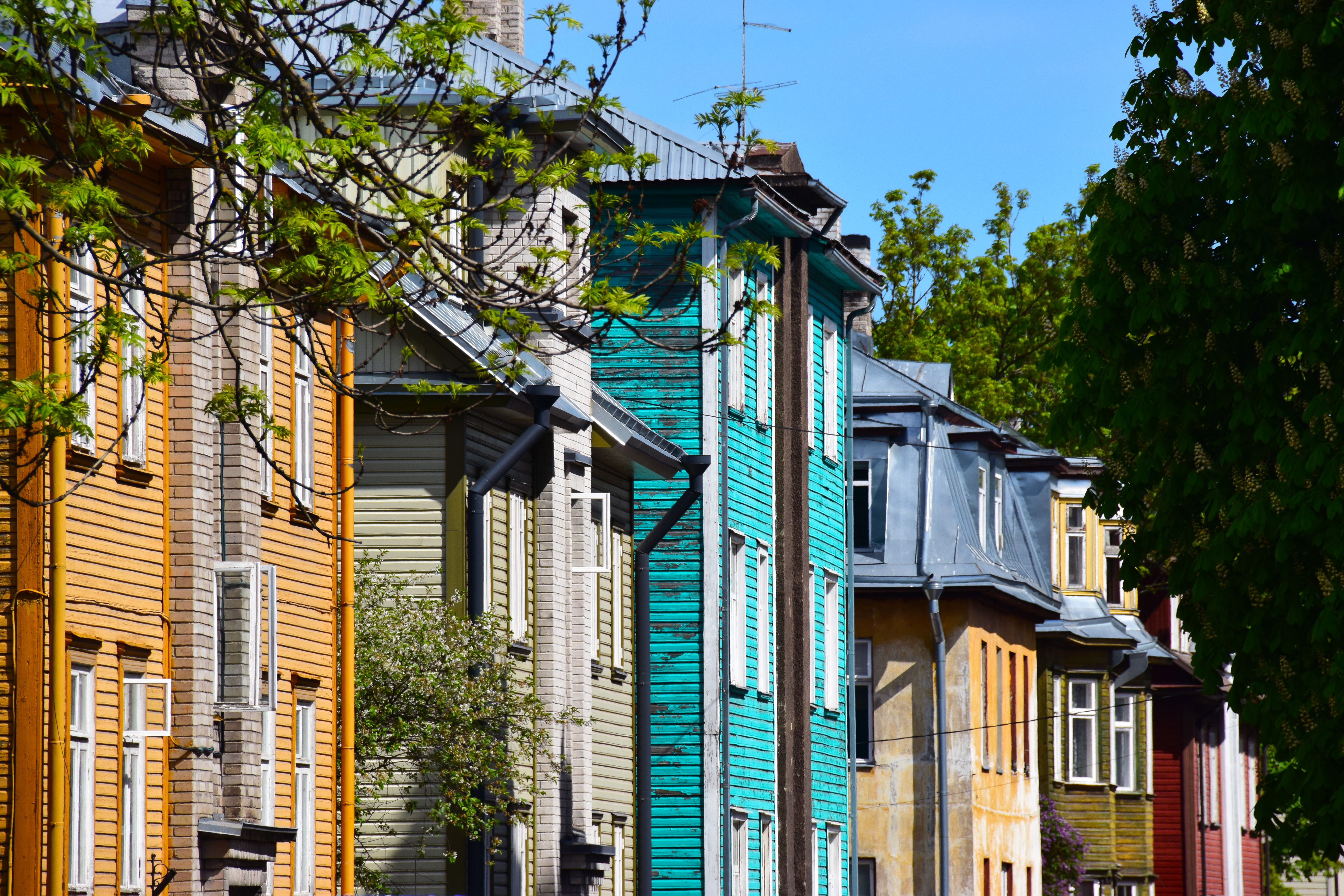 Tee kävelyretki Kalamajan kaupunginosaan katsomaan vanhoja taloja, shoppailemaan ja syömään.