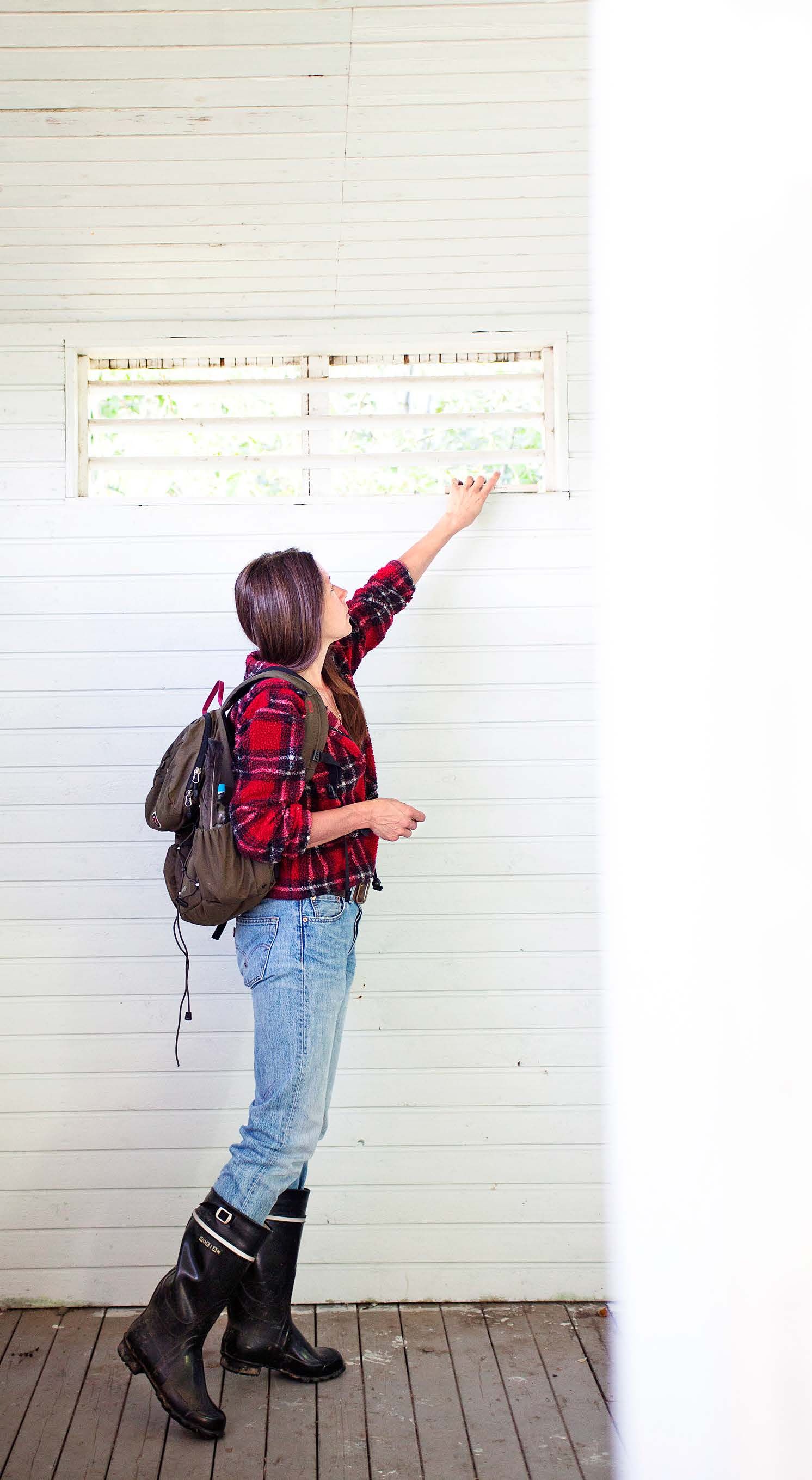 Kaarina Davis jättää kirjojaan Joutsen kävi täällä. Kaarina kerää sulkia muistuttamaan vapaudesta. löydettäviksi eri paikkoihin. Joku tuntematon voi tarvita elämässään juuri tätä, Toisinnäkijän päiväkirjaa.