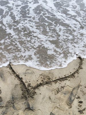 Sydämen särkyminen tuntuu fyysisenä kipuna