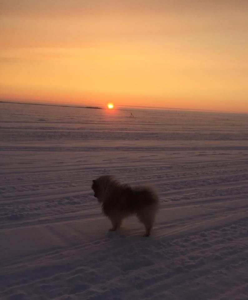 Auringonlasku Oulussa, Pateniemen rannassa. – Kirsi Kotro