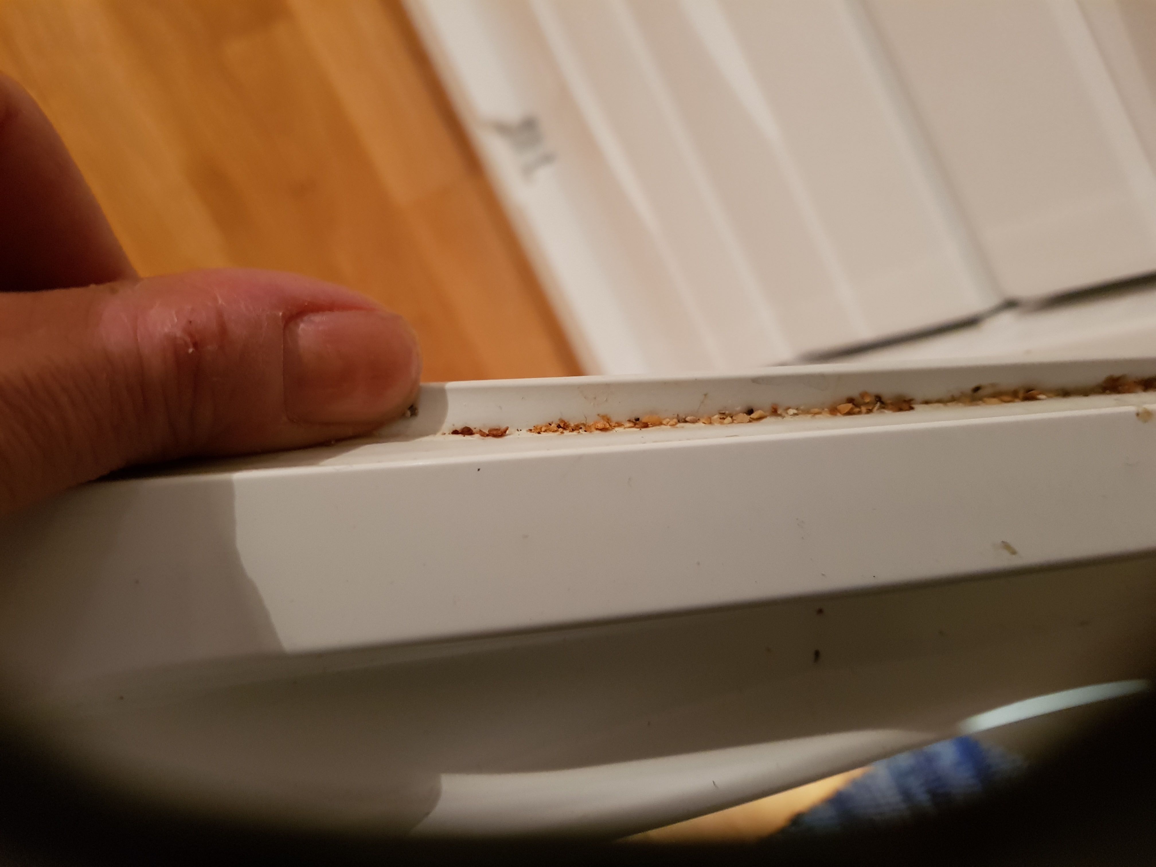 Tältäkin pakastimen tiiviste voi näyttää. Lähempi tarkastelu omalla vastuulla.