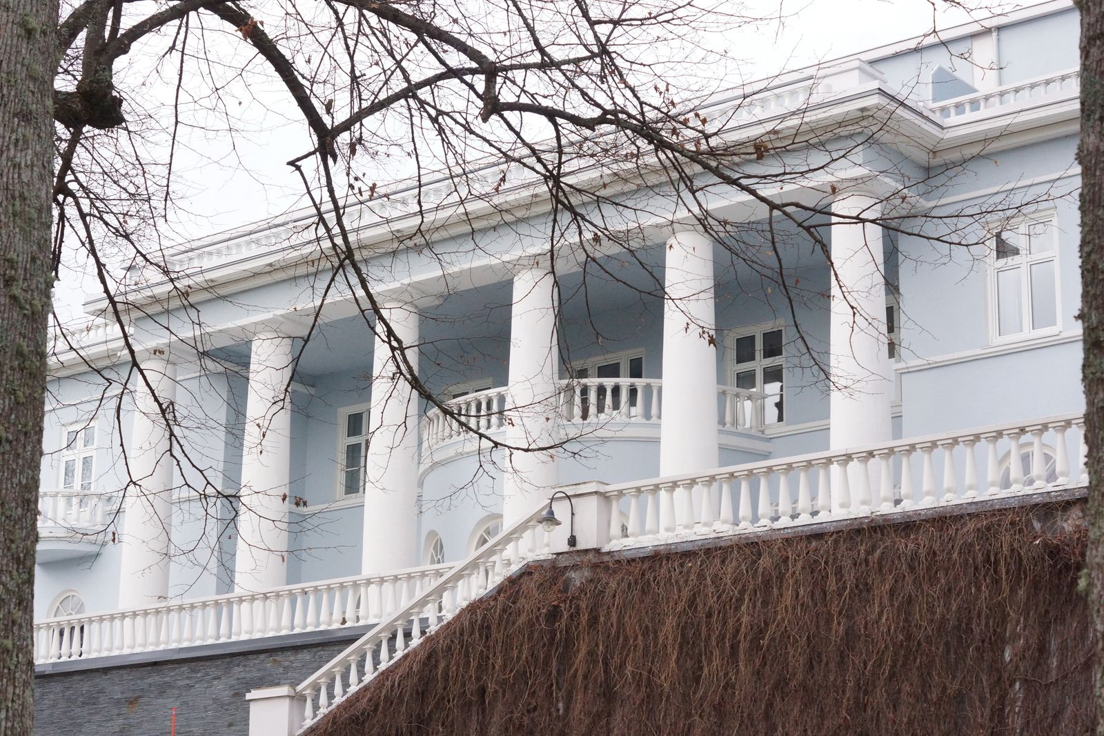 Lime ja Luna ilahduttavat minua joka päivä.