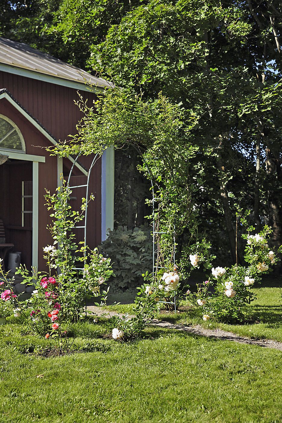 Tuunasten pihalla tuoksuu ja kukoistaa. 