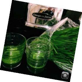 Iltapalaksi join vehnänorasmehua.