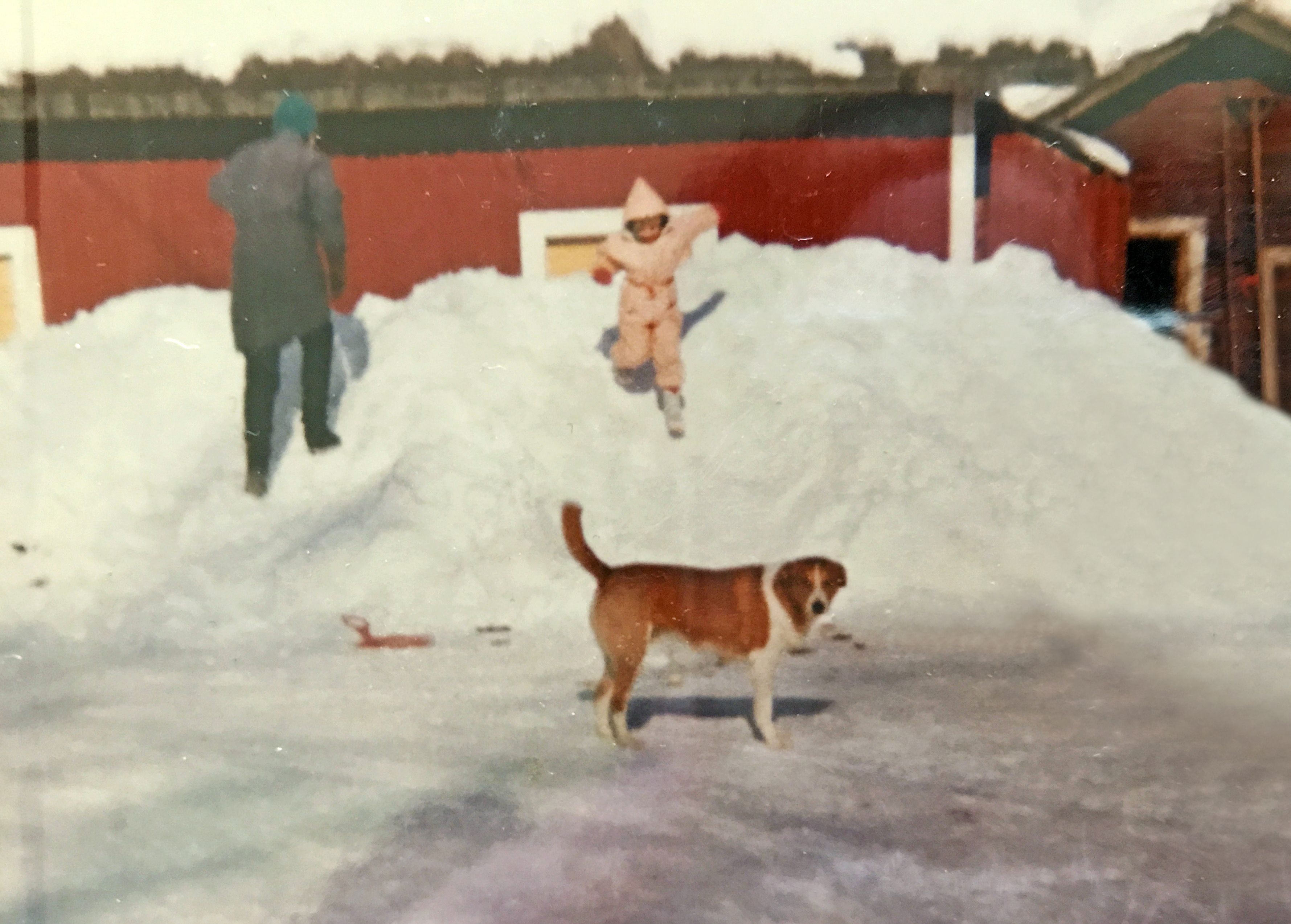 "Olin lapsena paljon yksin. Ajattelin, että kaikilla muilla on tavallinen ja onnellinen perhe", Merja sanoo.