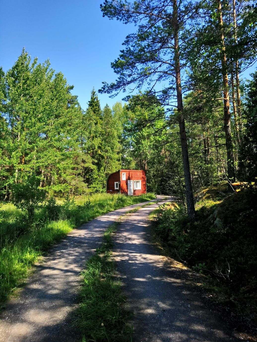 Marikan ikkunasta näkyy metsä. ”Kärry näyttää kalliolta katsottuna niin pieneltä!”
