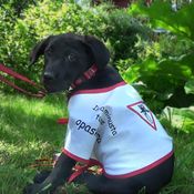 KK Mitä kuuluu Elli