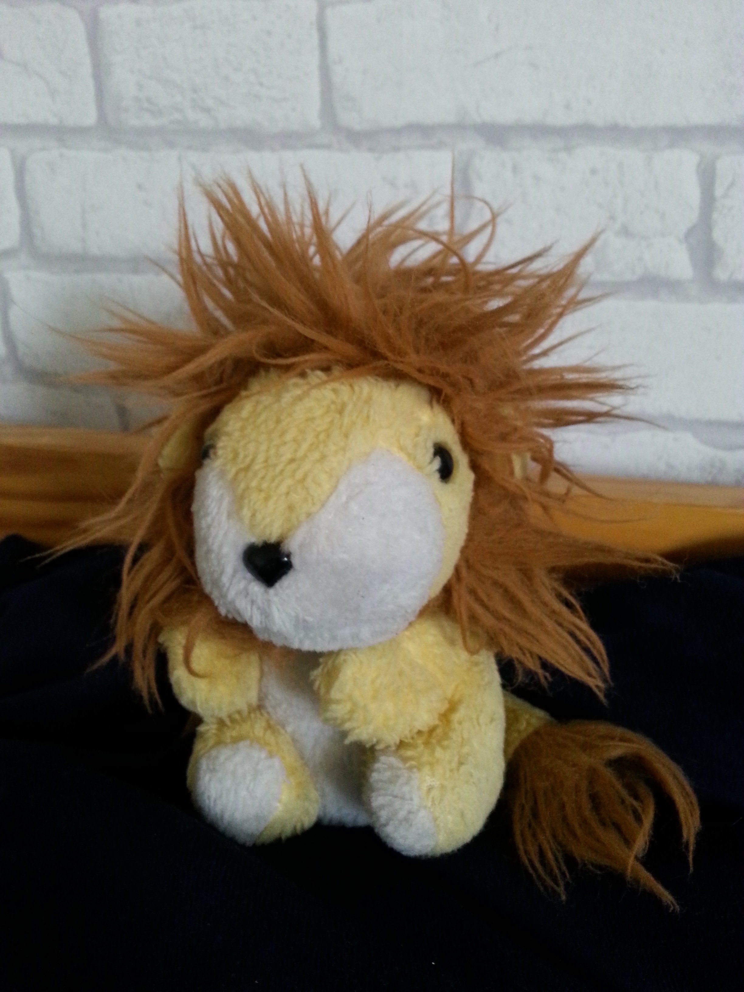 "Olin 2,5-vuotiaana äitini kanssa vaateostoksilla. Kesken ostosten huomasin isossa verkkokorissa pieniä pehmoleluja: vaaleanpunaisia possuja ja keltaisia leijonia. Nuoleskelin yhden pehmoleijonan hännän märäksi, joten äidin oli ostettava se minulle. Annoin sen nimeksi Leo. Seuraavana kesänä Leo hävisi. Sitä ei löytynyt mistään, kunnes talven jälkeen isäni laittoi mökillä saappaita jalkaan, ja löytyi Leo saappaasta. Leo on ollut monessa mukana 30 vuoden aikana ja se on ehdottomasti rakkain leluni." – Leijonankesyttäjä