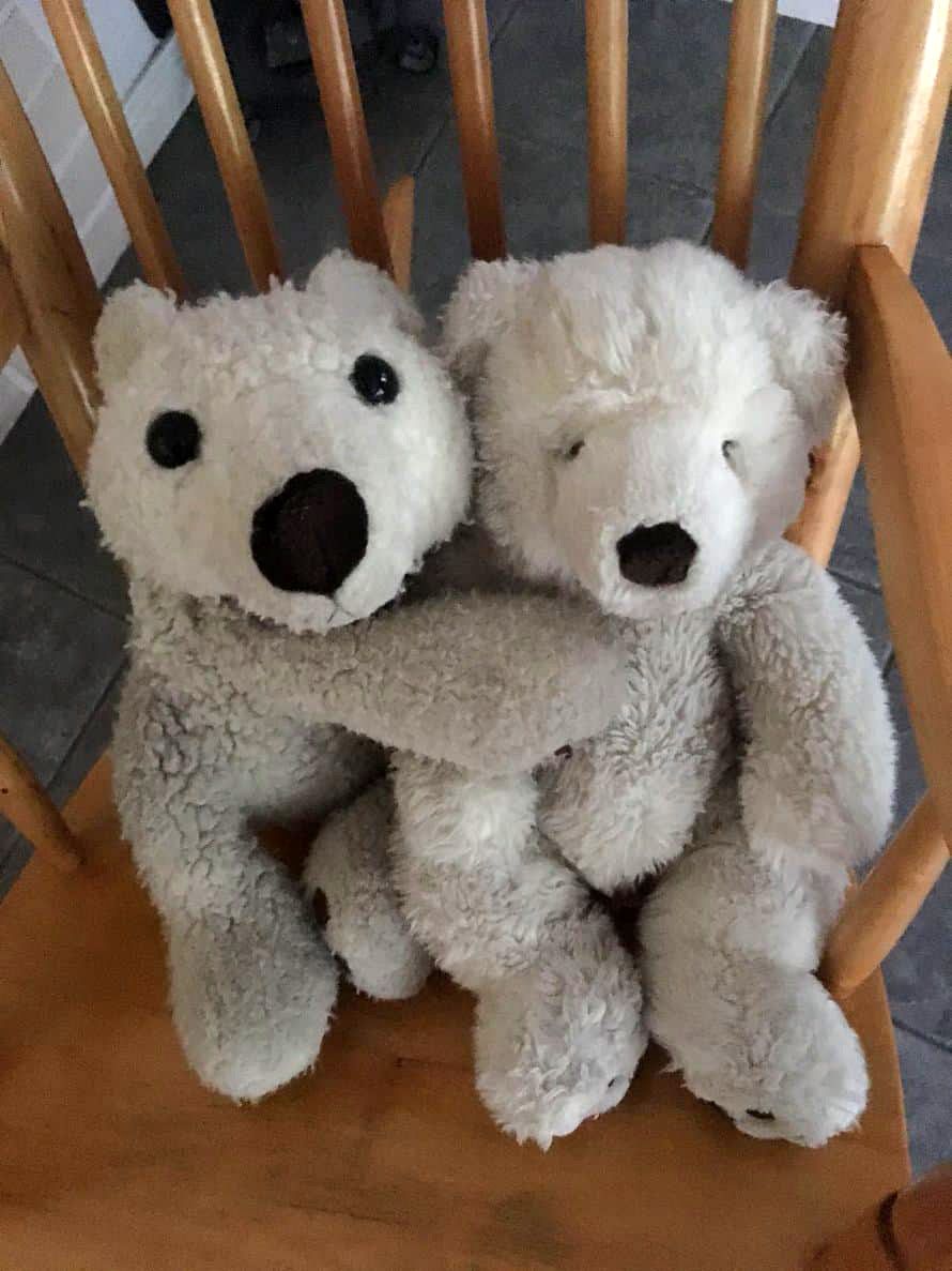 ”Meillä asuvat koko perheelle rakkaat jääkarhut Jesse ja Jassu. Jesse on jo 22-vuotias ja Jessen rakas Jassu 18. Pariskunta ilahduttaa haleilla ja antaa ”taikatassua”, kun joku on kipeänä.” Karhuäiti