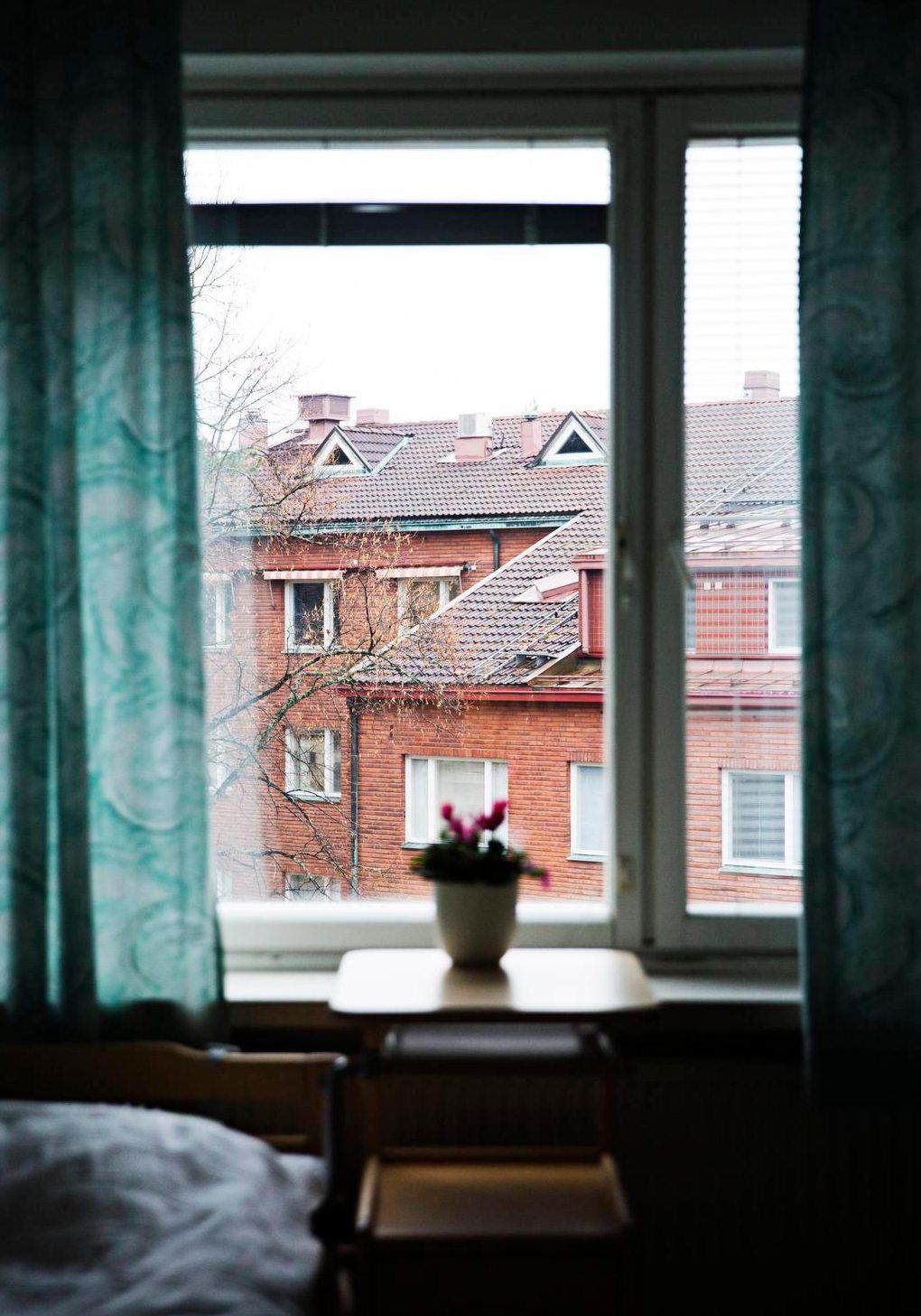 ”Rauha viihtyi ihmisten keskellä mutta omissa ajatuksissaan. Ulkoilusta hän ei niin välittänyt”, hoitaja muistaa.