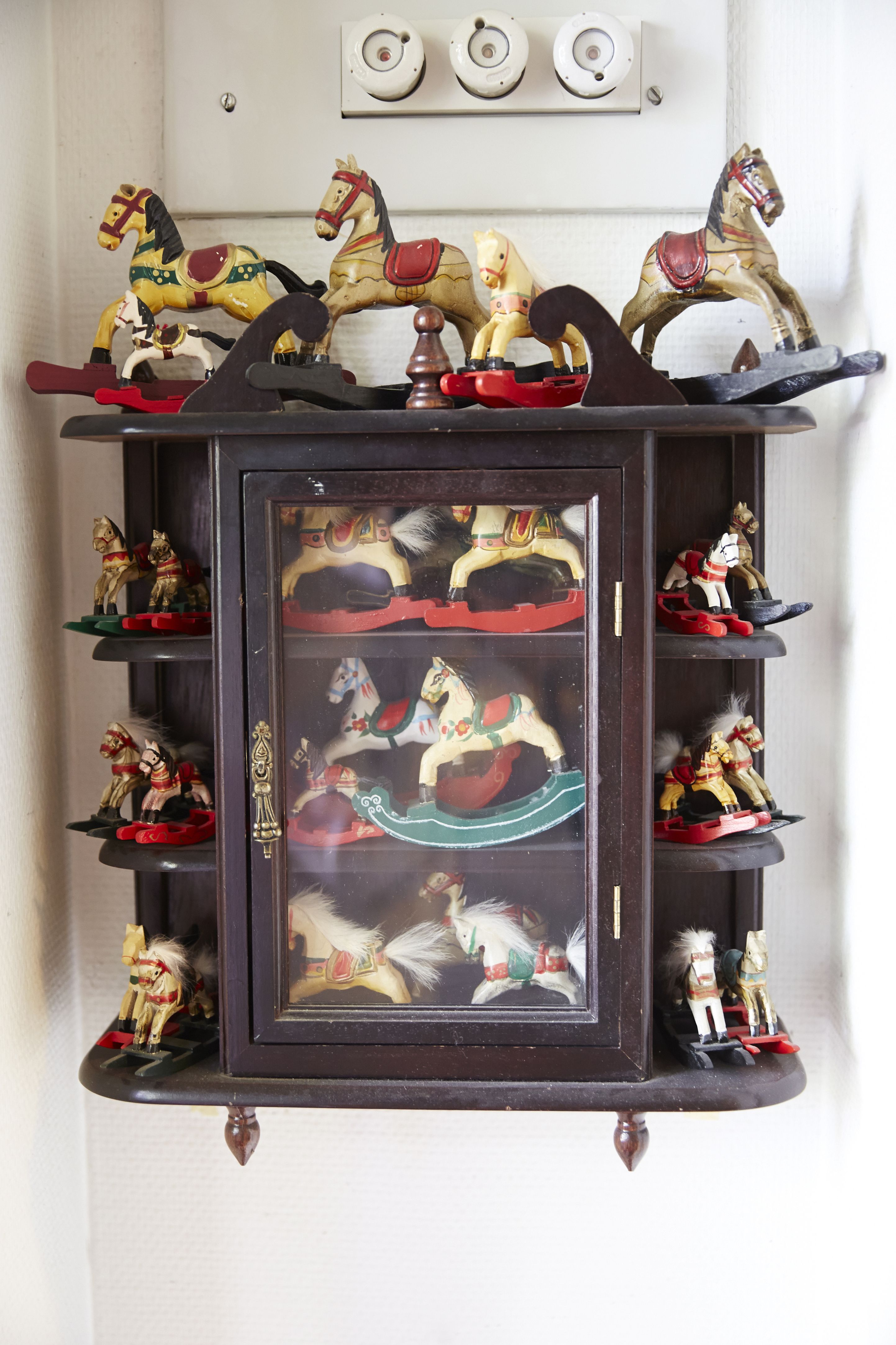 Kaikilla hevosilla ei tarvitse ratsastaa, kunhan voi ihailla.