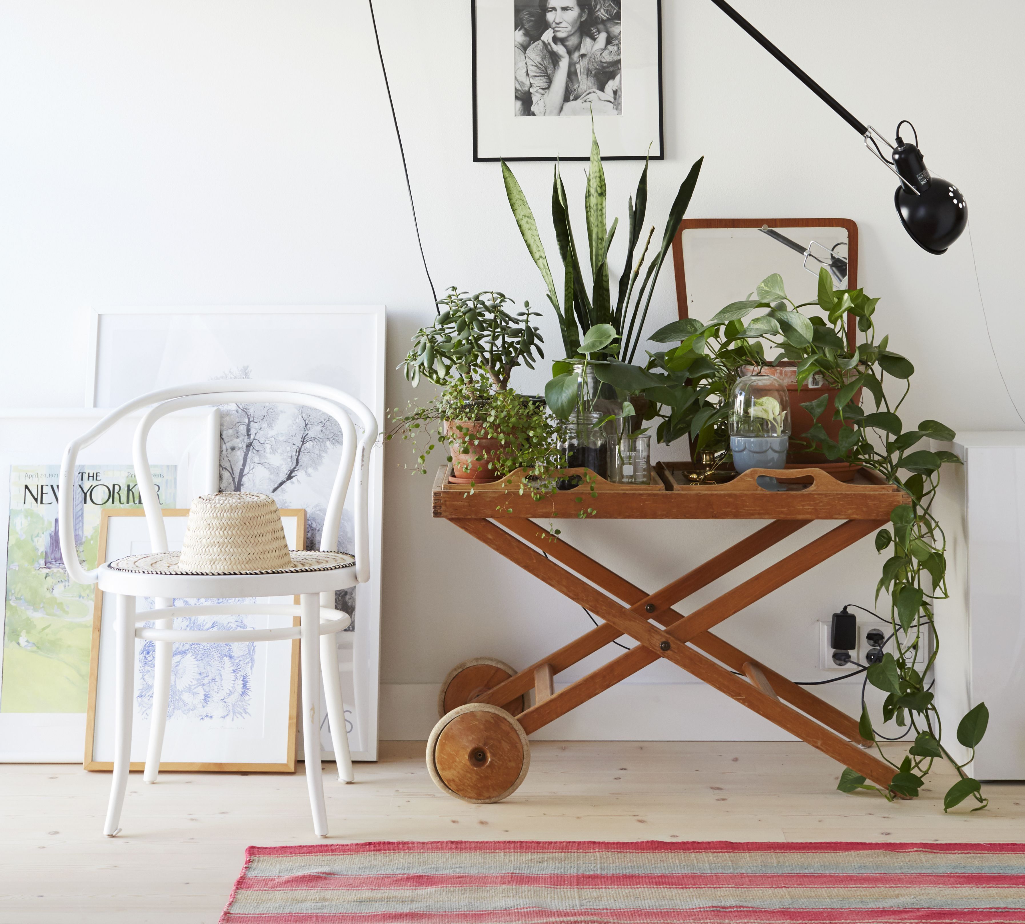 Kasvihyllyillä saa hauskaa piristystä sisustukseen. Kuva Piia Arnould