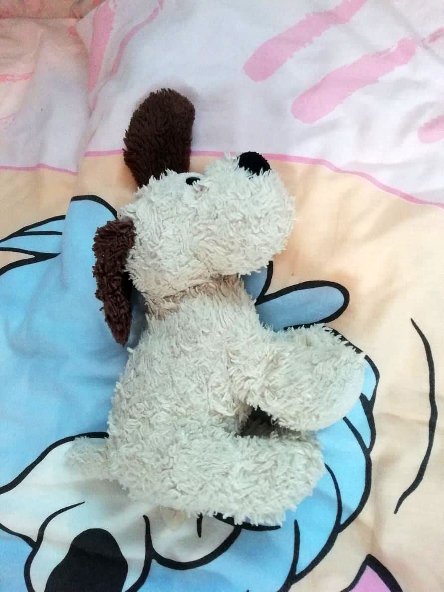 ”Tyttärentytär Vilma ei pääse untenmaille ilman, että Helmi-koira ei olisi kainalossa. Helmi on joskus äännellytkin, mutta pesukoneessa käynti mykisti sen!” Pirjo 