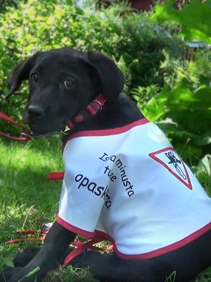 KK Mitä kuuluu Elli