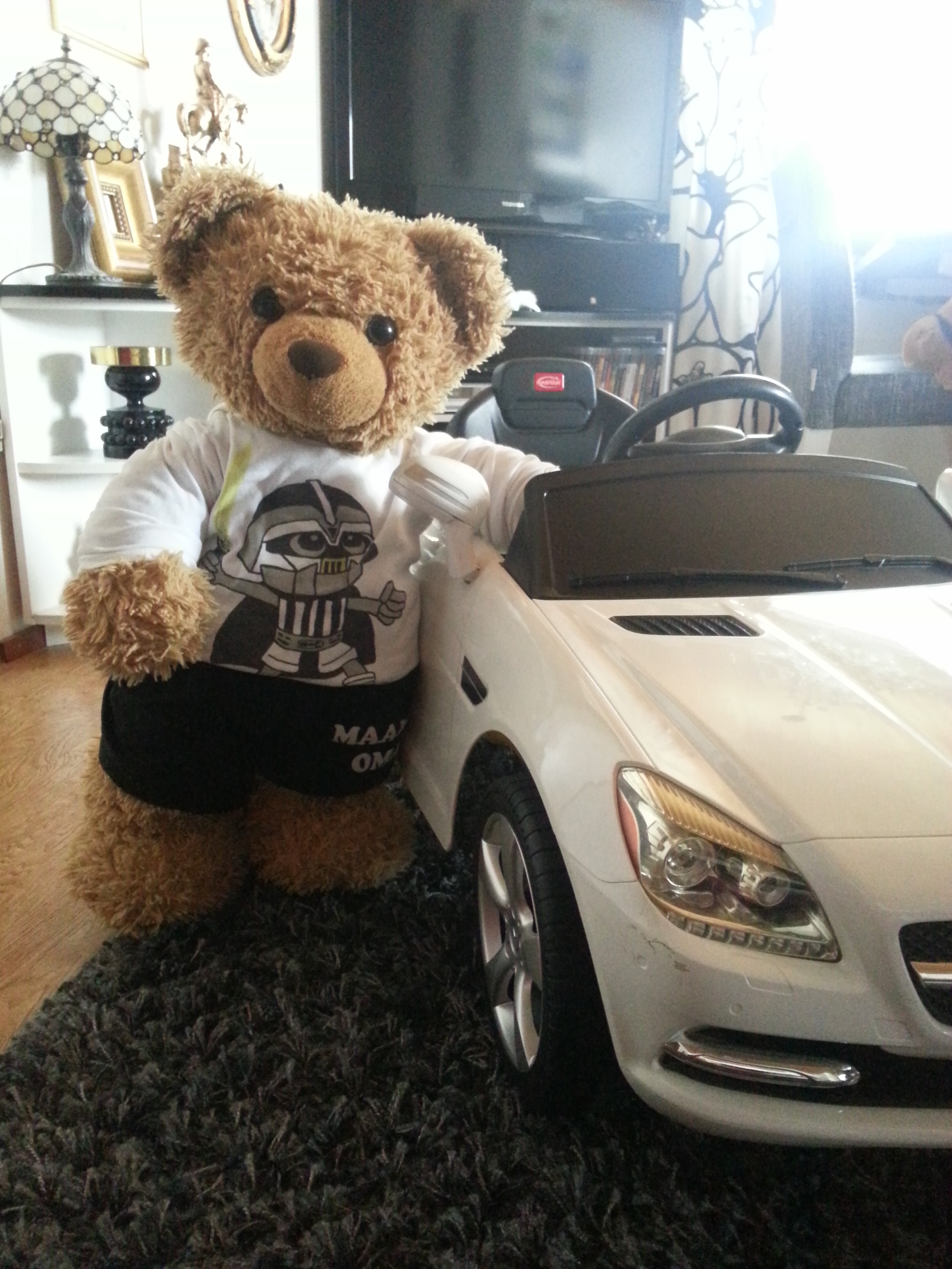 "Karhuherra nimeltä Häirikkö muutti meille kymmenen vuotta sitten asumaan. Koska perheessä ei ole lapsia, hänestä on tullut perheen lellikki. Kuten kuvasta näkyy, karhuherra omistaa jopa oman auton." – Una