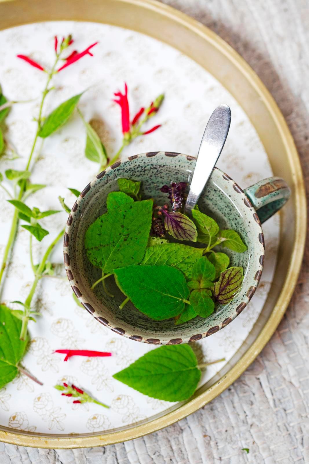 Mari Kaartokallio käyttää yrttiteessä ananassalviaa ja basilikan kukkia.