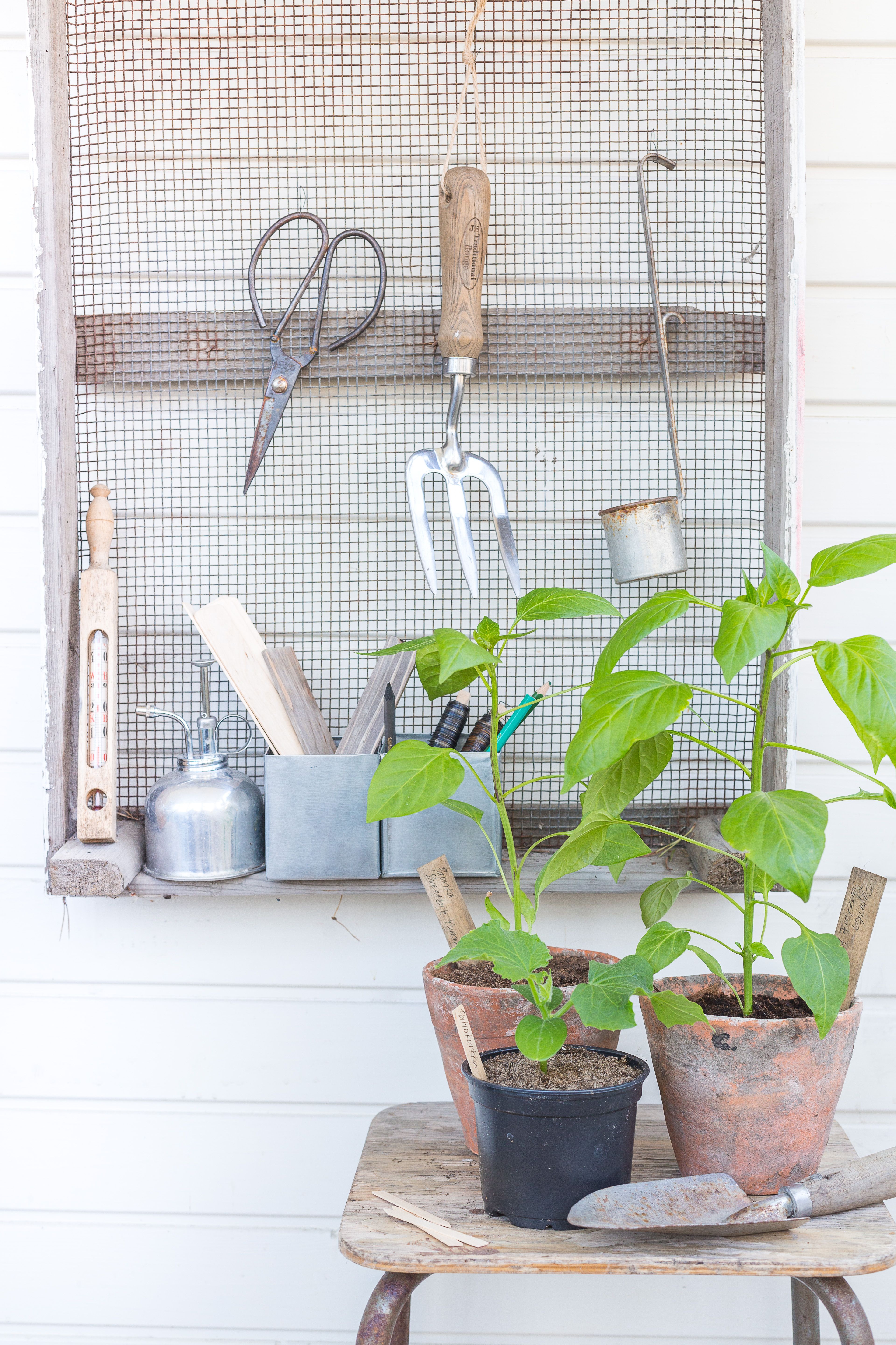 Chili ja paprika viihtyvät ruukussa kasvihuoneessa, terassilla tai parvekkeella. Syksyllä ne on helppo siirtää sisälle talvehtimaan. Avomaankurkku kaipaa ravinteikkaan ja lämpimän paikan. Merkitse kylvökset, jotta tiedät, mitä satoa odotella.
