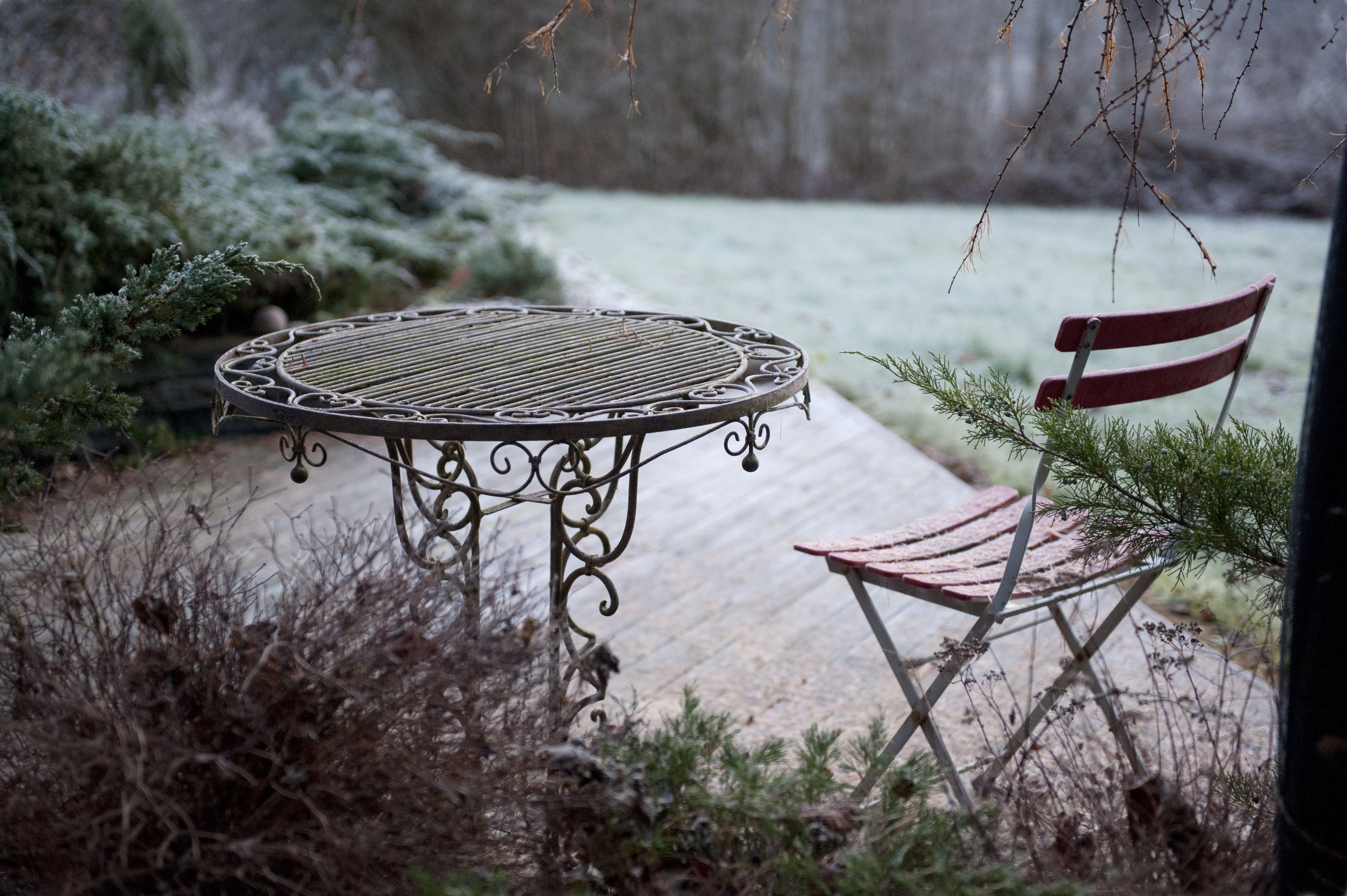 Puutarhan lumo säilyy, vaikka vihreä vaihtuu harmaaseen.