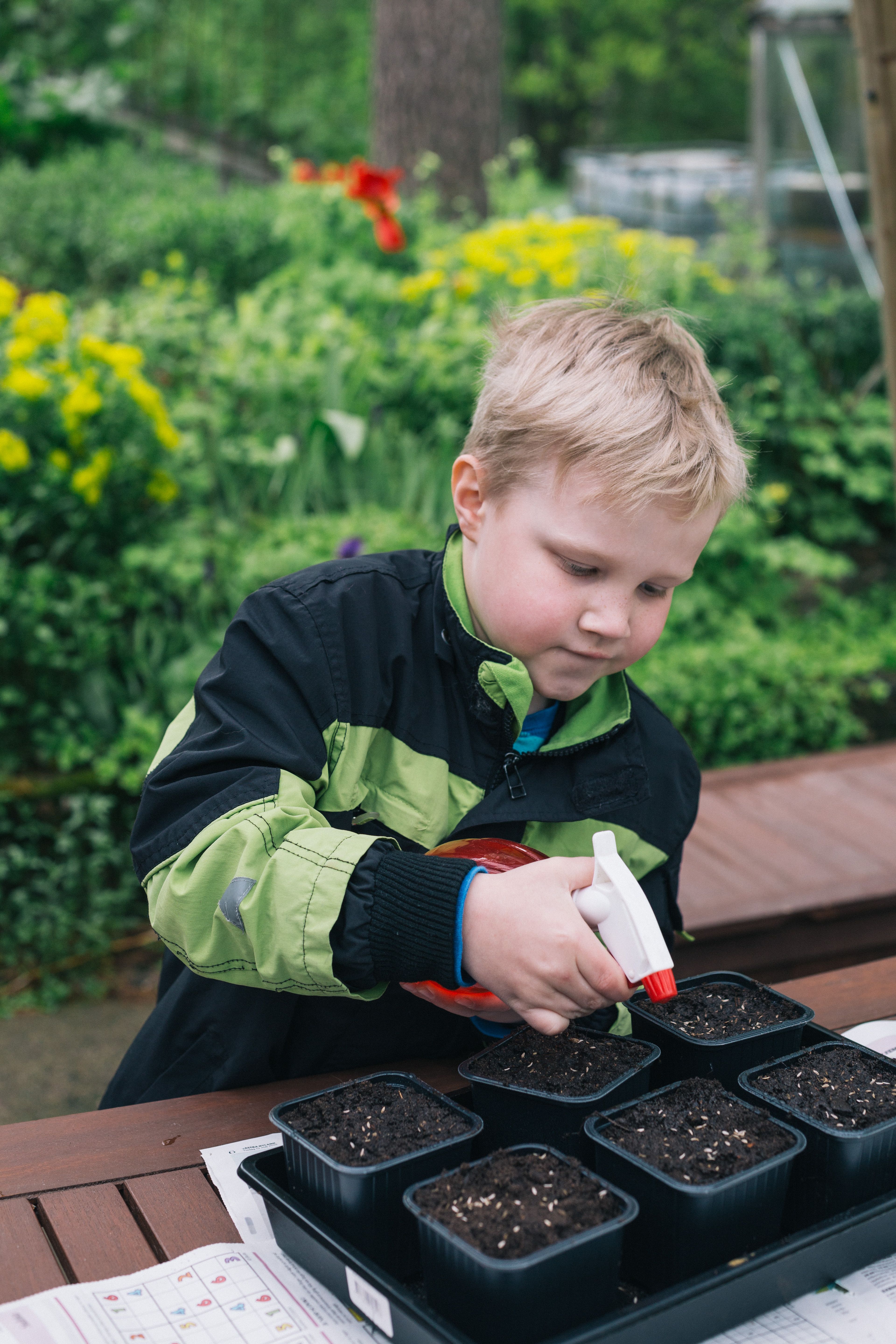 Kun sisko on istuttanut siemenet, on Wilhelmin vuoro kastella viljelmät.