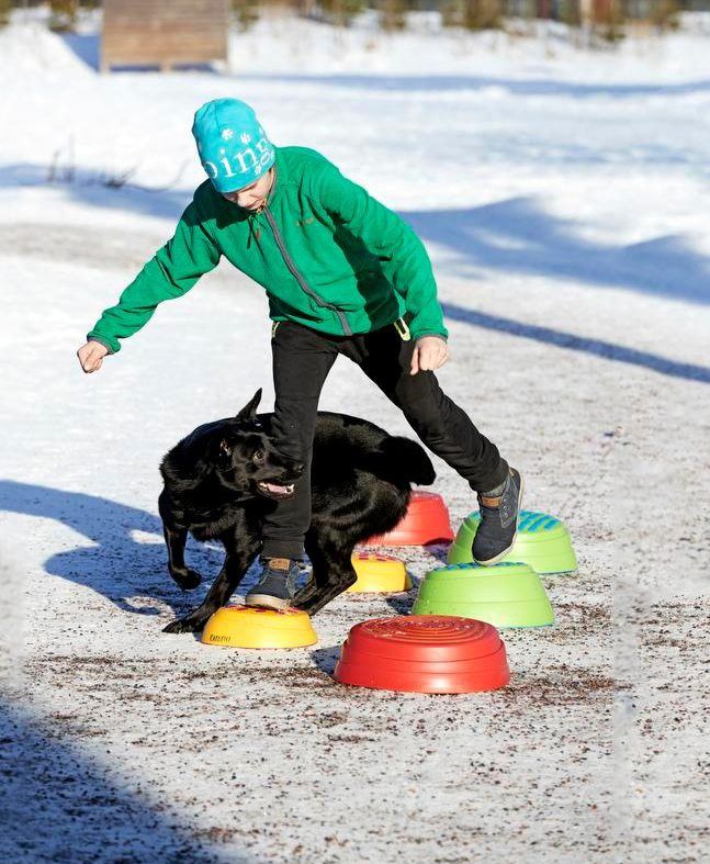 Kaapo ja Topi näyttävät hartaudella harjoitellun tempun.