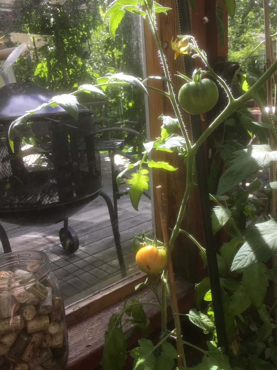 En ole viherpeukalo, mutta kesällä aamupalaleivän päällä on jotain itse kasvatettua.