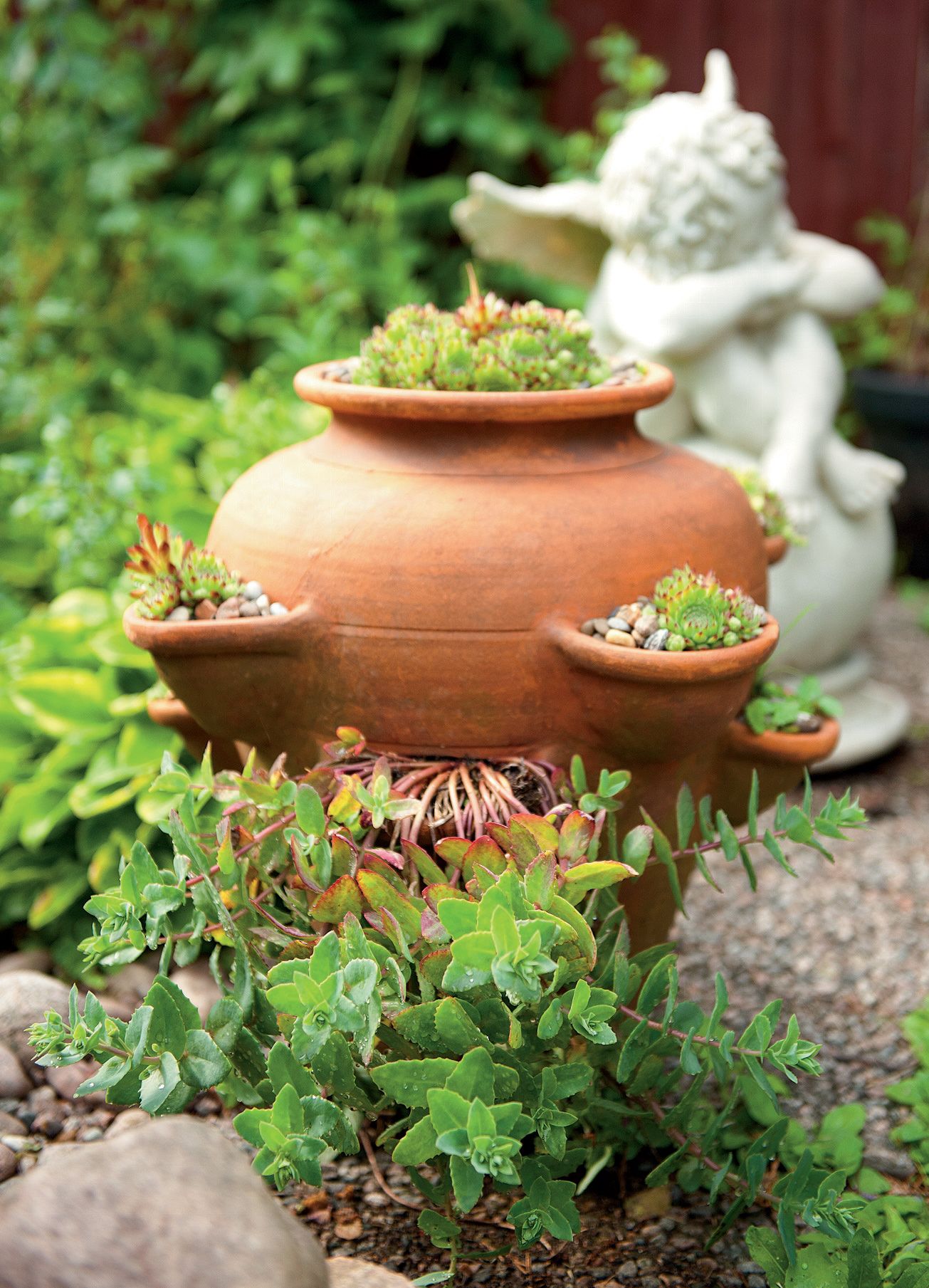 Sinikka istutti keramiikkaruukkuun mehitähtiä ja maksaruohoja. Samat kasvit viihtyvät ruukussa vuodesta toiseen. Ruukku talvehtii autotallissa.