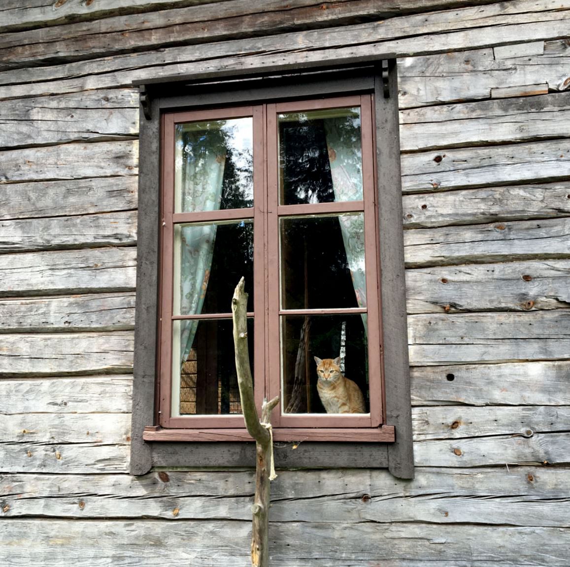 "Unelmat selkiytyvät, jos niitä pysähtyy kuuntelemaan", Tiina ajattelee.