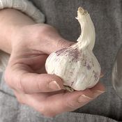 KK Valkosipulin kuorinta 10s