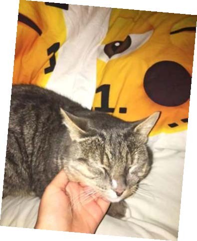 Pablo odotti, kun menin nukkumaan.