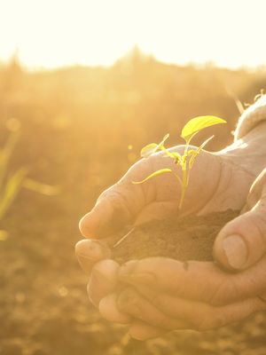 Viisi asiaa, joita emme tajua vanhuksista