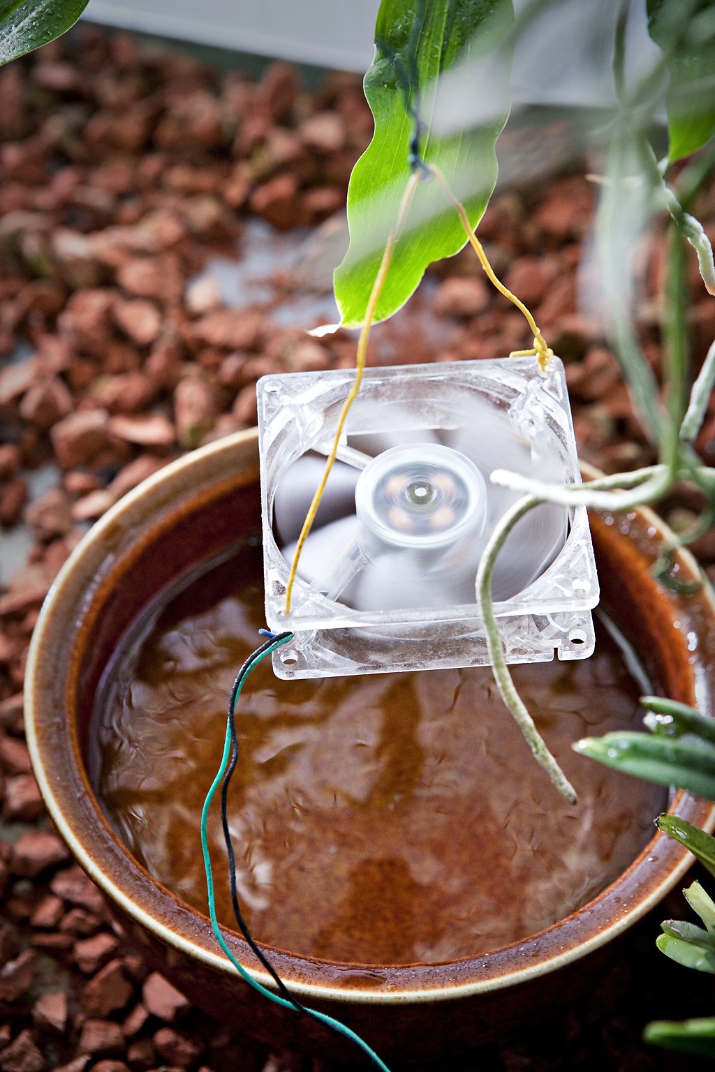 Oili purki vanhoista tietokoneistaan tuulettimet ja asensi ne orkidealasikoihin vesiastian ylle kierrättämään kosteutta. Toimii!