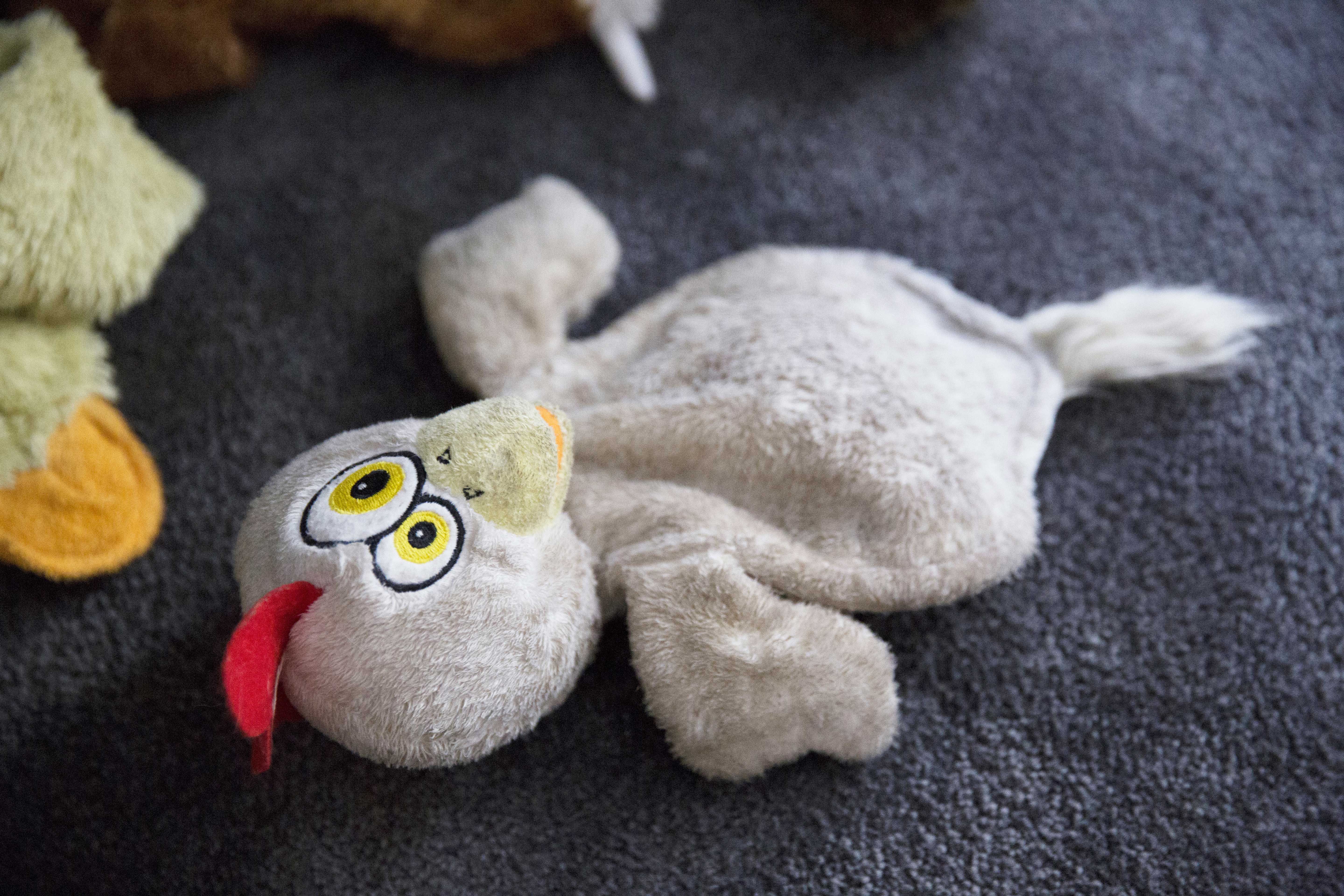 Shurikin lempilelu on Huuhkaja.