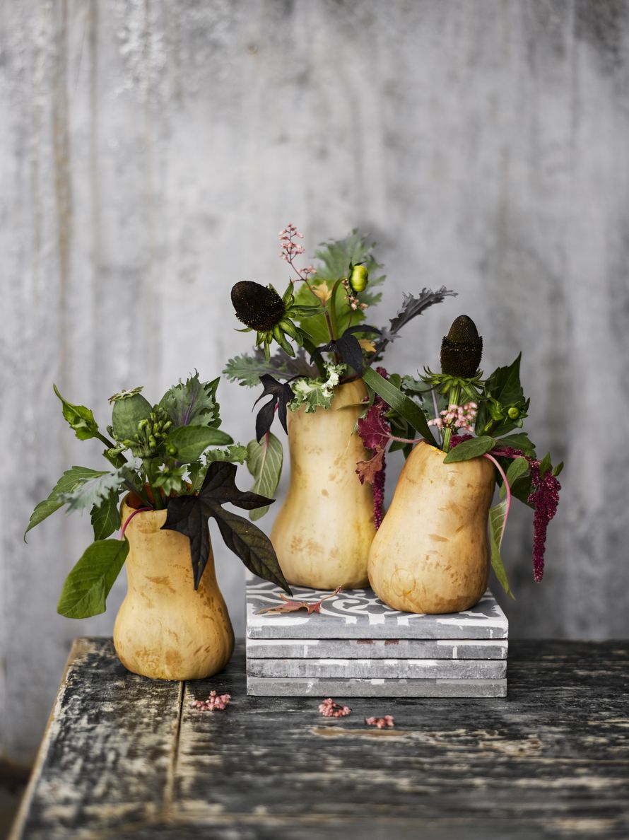 Koverra kurpitsasta hauska maljakko