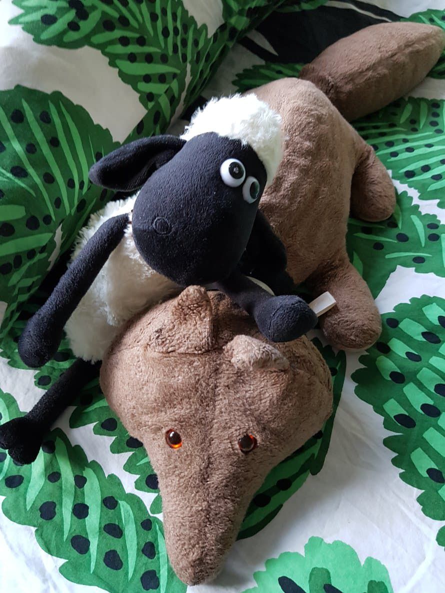 ”Unikaverimme Late ja Kettu riehuvat ja lepäilevät peiton päällä, illan tullen he pääsevät höyhensaarille kanssamme. Late on käynyt Tallinnassakin ja yöpynyt monissa kotimaan hotelleissa. Kettu täytti juuri 28 vuotta, ja Late on vielä karitsa.” Satu