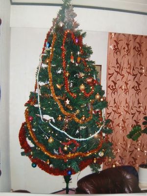 Robin valitsi pipokisan voittajan 