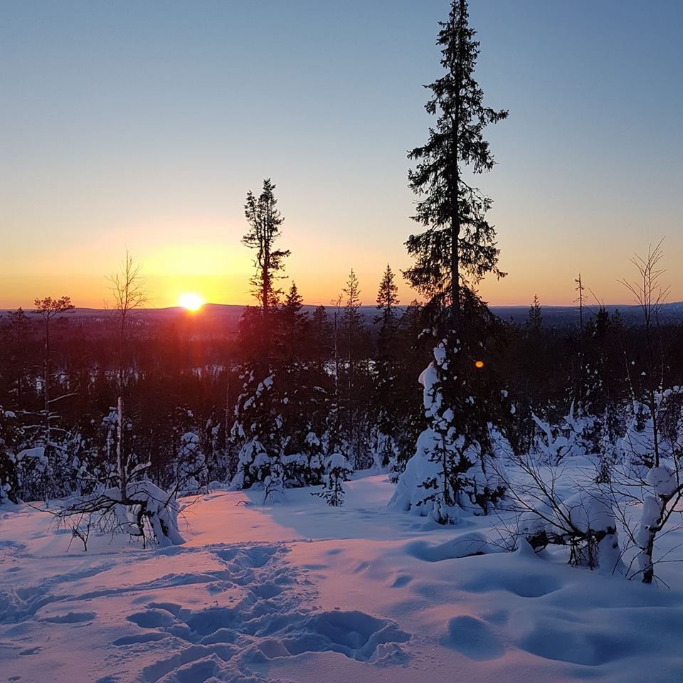 Auringonlasku 15.3.2018, Ylläksen maisematie. - Gun Nordin