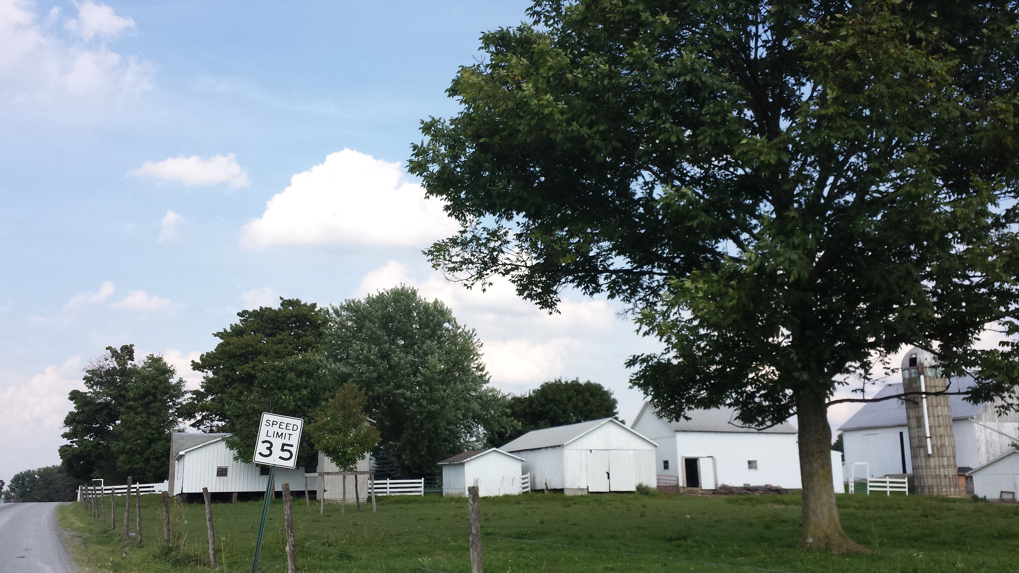 Amissien suosikkivärit ovat valkoinen ja sinisen eri sävyt. Talot ovat valkoisia, ovet usein sinisiä. 