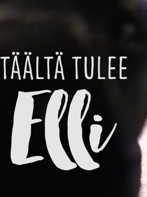 KK Elli löytää luun